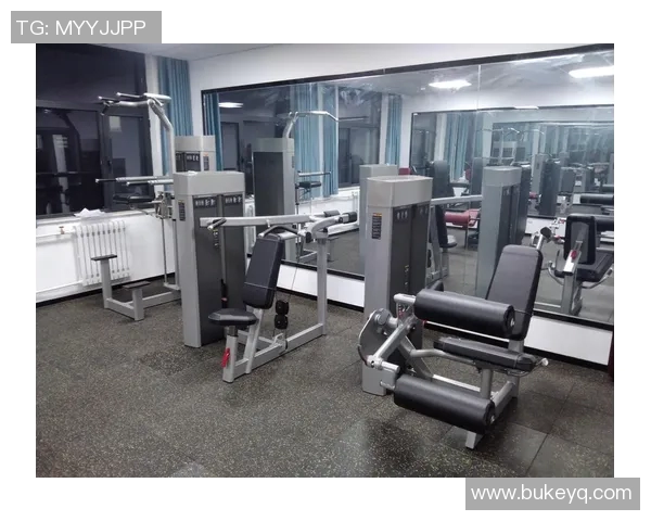 全面解析体育健身器材价格及选购指南助您轻松打造家庭健身房