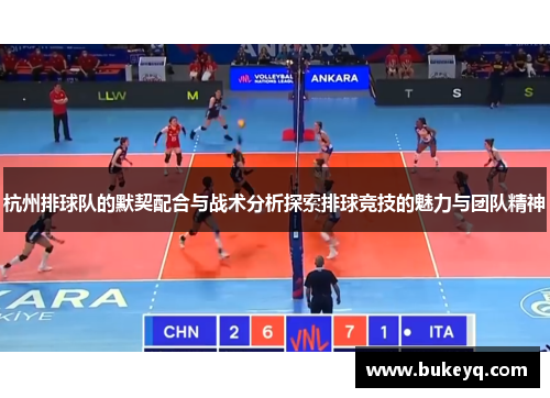 杭州排球队的默契配合与战术分析探索排球竞技的魅力与团队精神