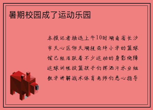暑期校园成了运动乐园