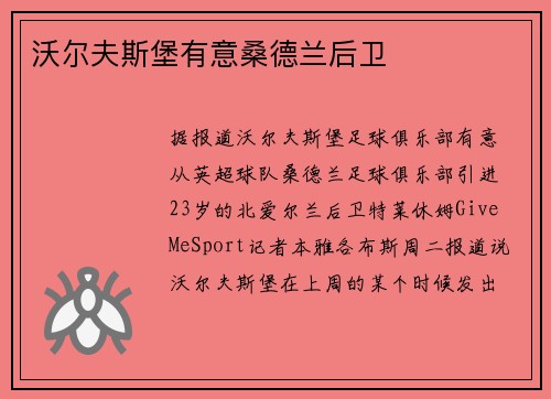 沃尔夫斯堡有意桑德兰后卫